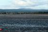 Findhorn July 2021 0064